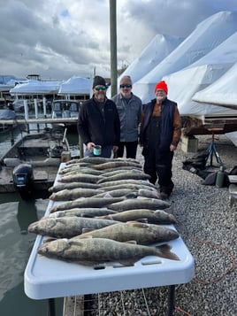 Detroit River Fishing Trip