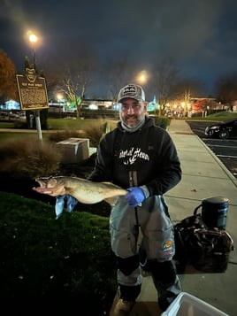 Half Day Trip – Night Bite Fall