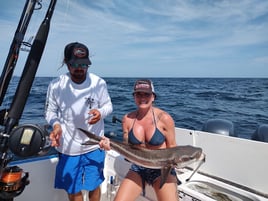 Hilton Head Nearshore Fishing