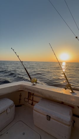 Red Snapper And King Fish 