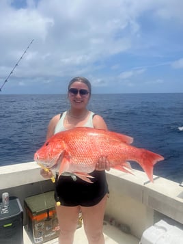 Red Snapper And King Fish 