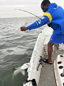 Galveston Bay Shark Special