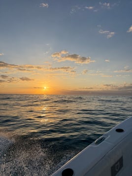 Saltwater Farewell