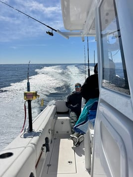 Saltwater Farewell