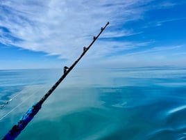 Saltwater Farewell