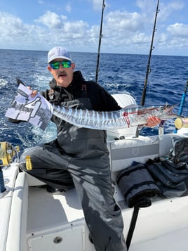 WAHOO ADDICTS! LFG!