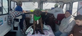 Trout & Salmon Fishing
