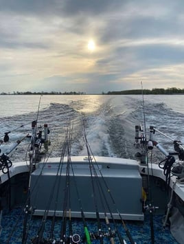 Trout & Salmon Fishing