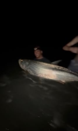 Nightime Shark Fishing Charter 