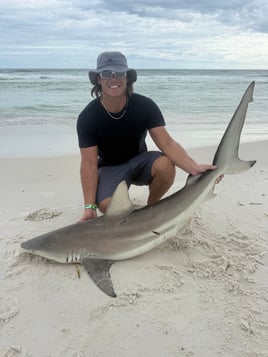 Nightime Shark Fishing Charter 