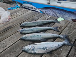 Ocean And Buoy 10 Salmon