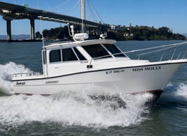 San Francisco Bay Tours