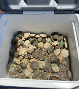 1/2 Day Private Scalloping Charter