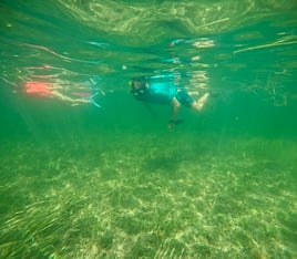 1/2 Day Private Scalloping Charter