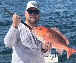 4 Hour Snapper