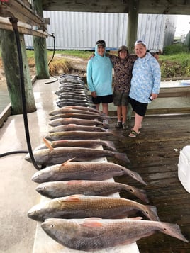 Black Drum, Redfish Fishing in Rockport, Texas