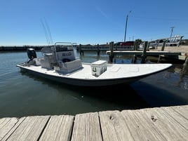 Half Day Bay Adventure