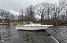 6hr Brown Or  Salmon Charter
