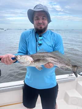 6 Hour Inshore Fishing Trip