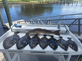 6 Hour Inshore Fishing Trip