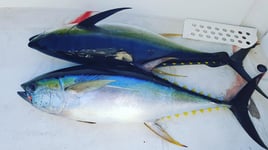 Deep Sea Fishing