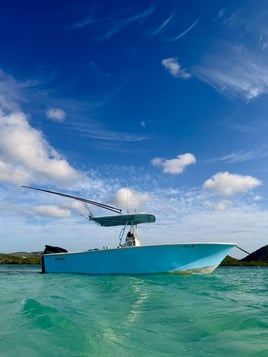 Inshore Fishing Experience