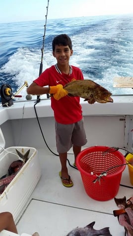 Reef Fishing