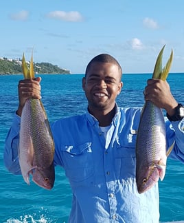 Reef Fishing