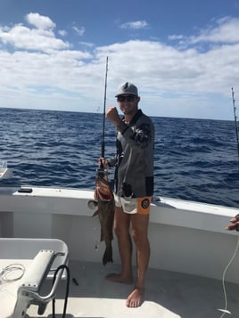 Reef Fishing