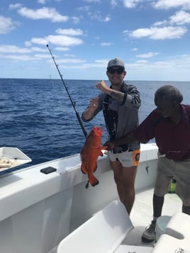 Reef Fishing