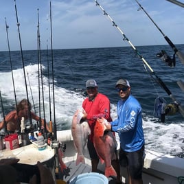 6-12 Hour Offshore Trip