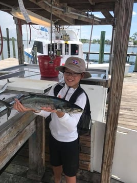 4-6 Hour Trip – Trolling 