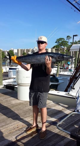 4-6 Hour Trip – Trolling 