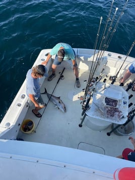4-6 Hour Trip – Trolling 