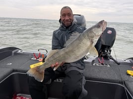 Lets Go Fishing