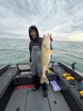 Lets Go Fishing
