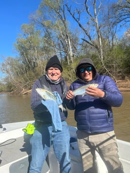 4-6 Hour Trip – Shad