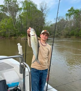 4-6 Hour Trip – Shad