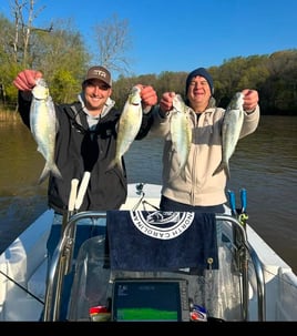 4-6 Hour Trip – Shad