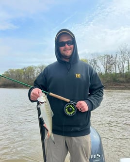 4-6 Hour Trip – Shad