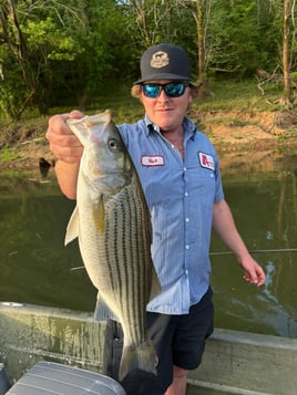 5-8 Hour Trip – Striped Bass