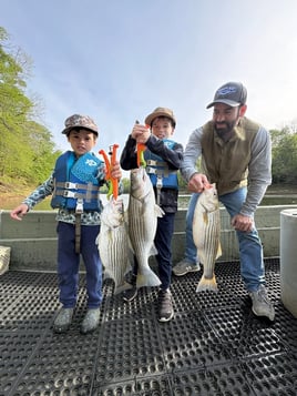 5-8 Hour Trip – Striped Bass