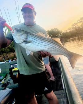 5-8 Hour Trip – Striped Bass