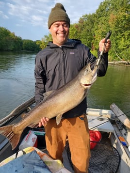 King Salmon Trips