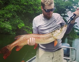 4-8 Hour Bass Pike