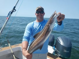 4-8 Hour Offshore Trip