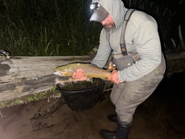Night Time Trophy Trout Hunting 
