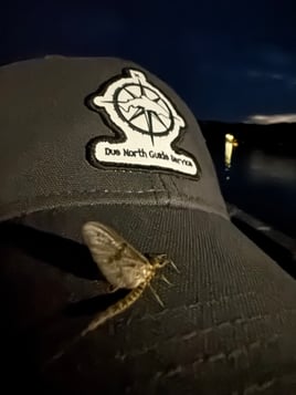 Night Time Trophy Trout Hunting 
