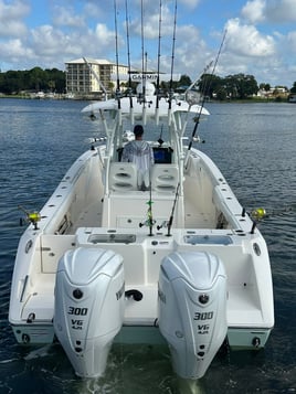 4-8 Hour Trip (Offshore)