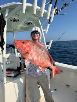 4-8 Hour Trip (Offshore)
